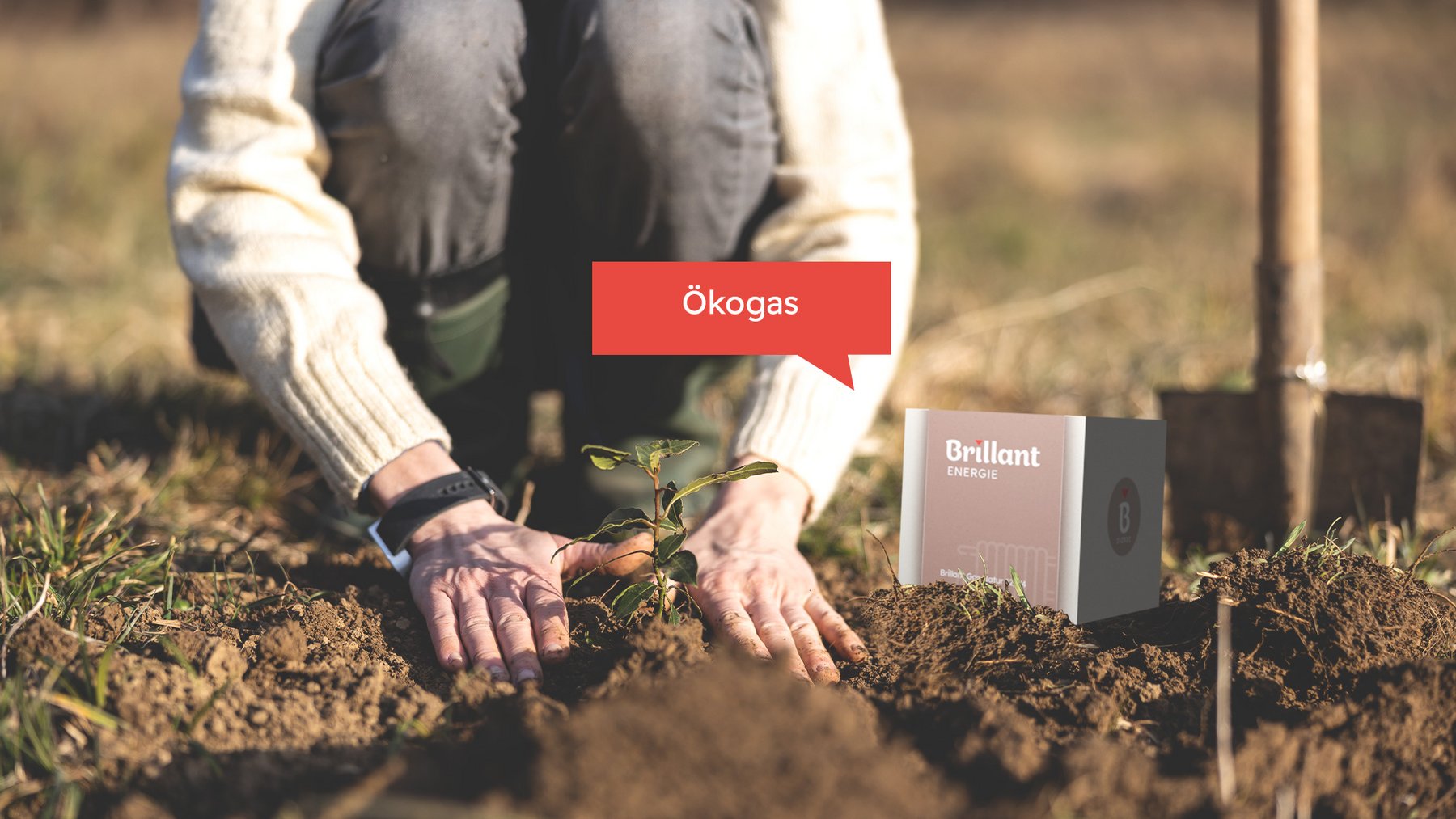  Produktbild_Oekogas.jpg