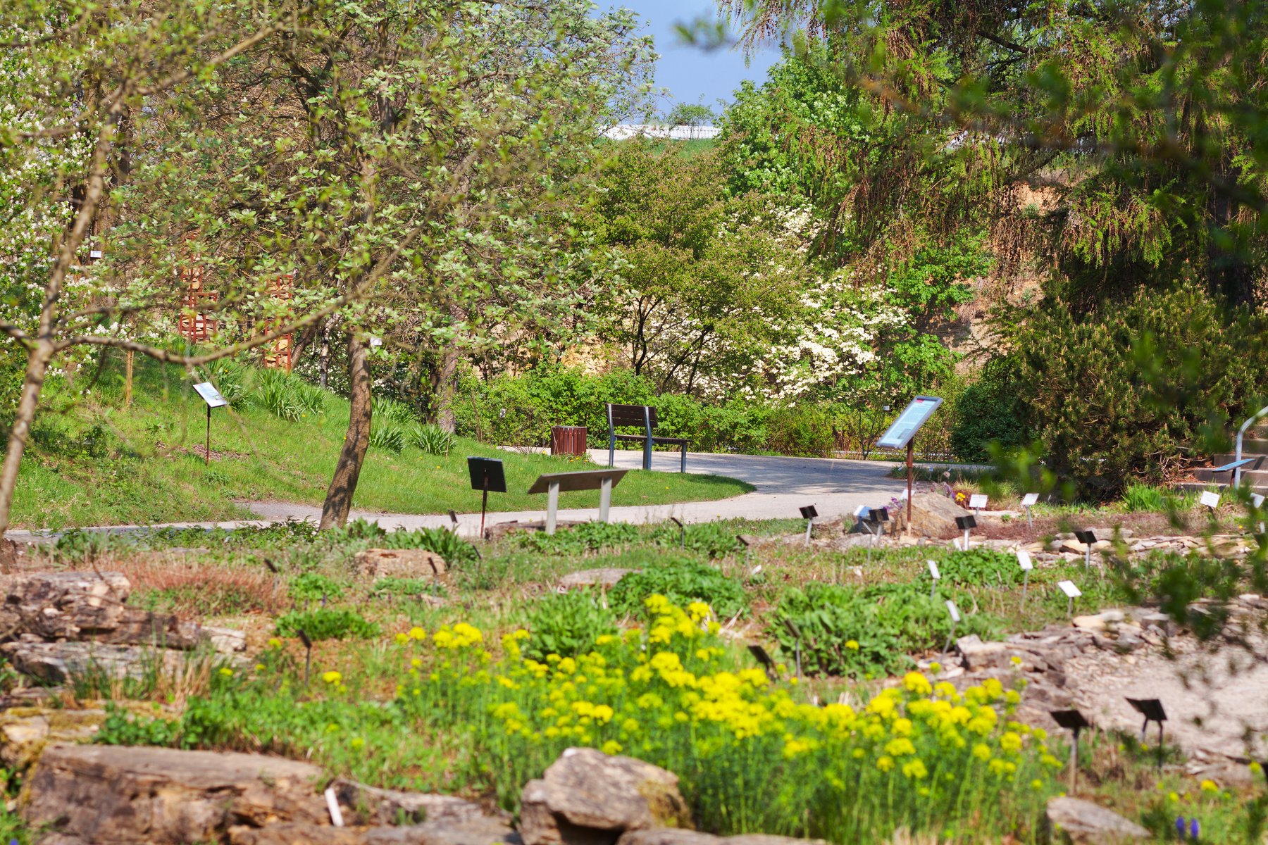  Garten.jpg