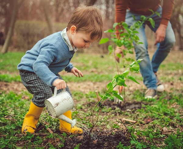 Ein Junge gießt einen frisch gepflanzten, jungen Baum Junge_giesst_frisch_gepflanzten_Baum.jpg