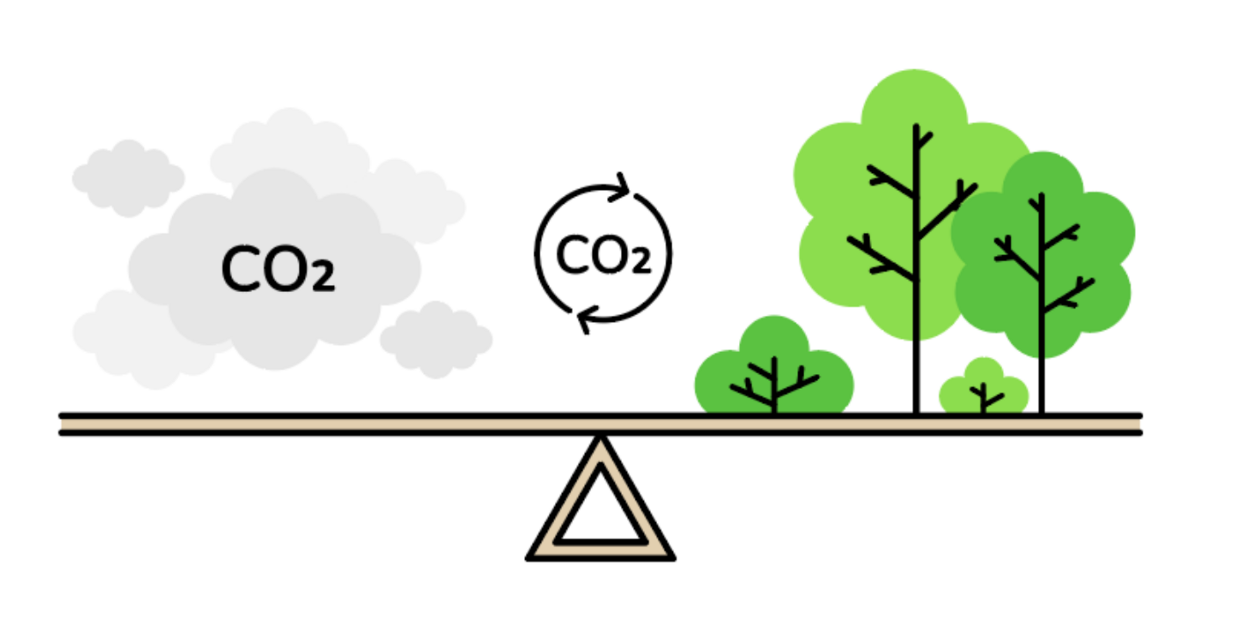 Grafik: CO2-Bilanz grafik_co2-bilanz@2x.png