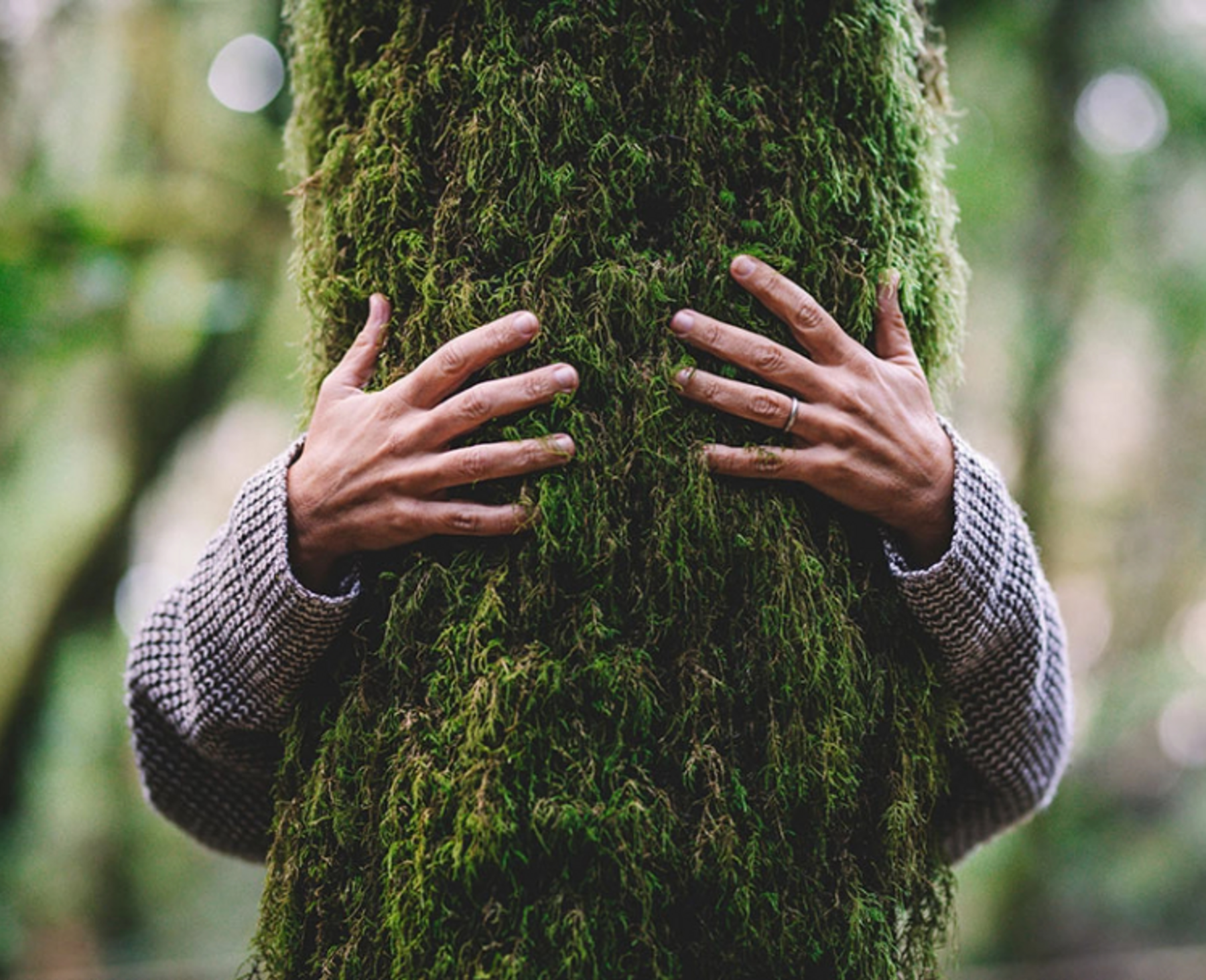 Eine Person umarmt einen moosigen Baum Klima_schuetzen_Oekogas_Klimaschutzprojekte.png