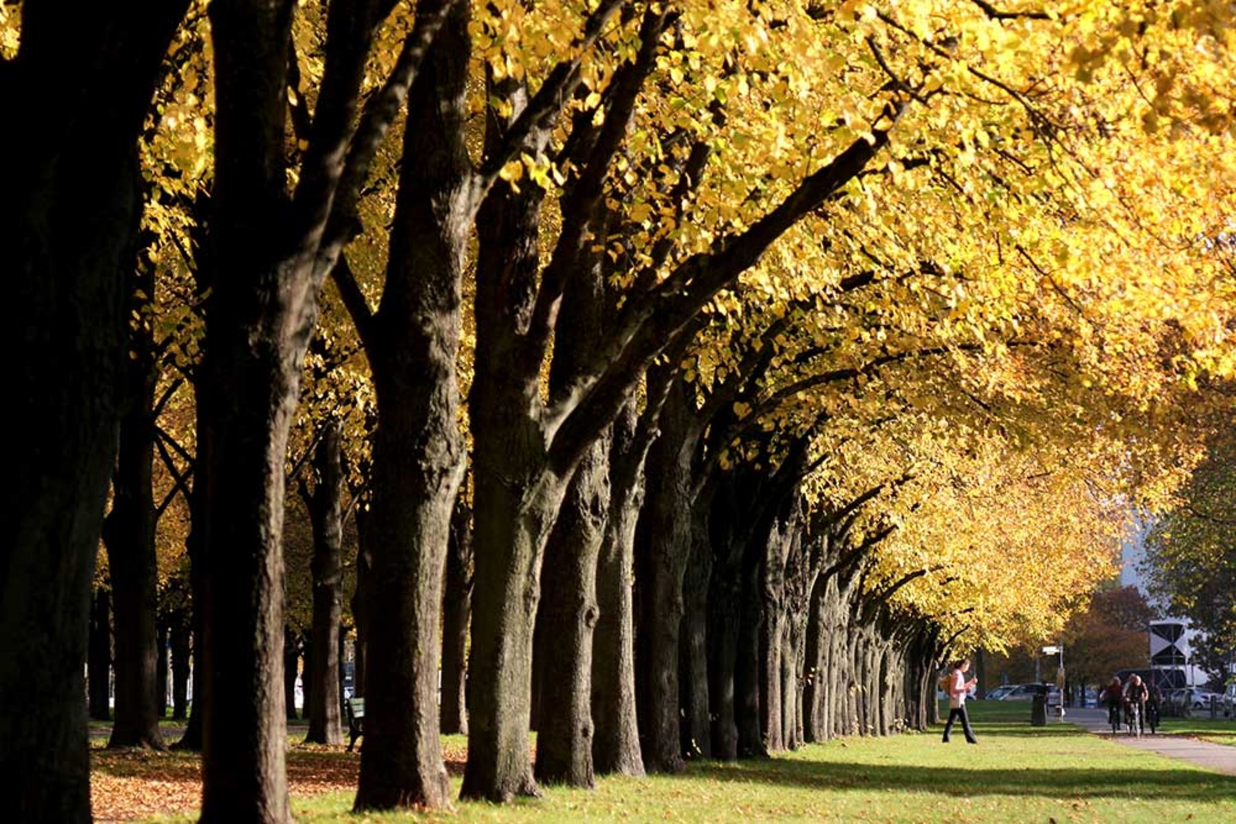 Herrenhauser Garten Hannover Herrenhauser-Garten-Herbst-Hannover.jpg